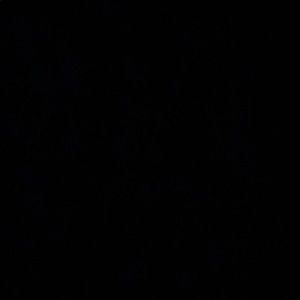 Meet your Posher, Rigo